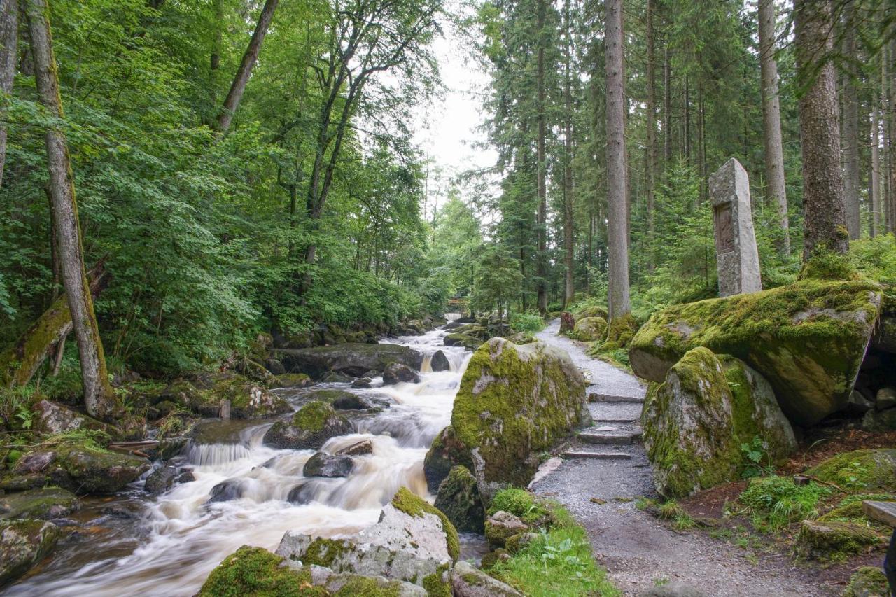Ferienhaus Nordic Harmony Waldkirchen Luaran gambar